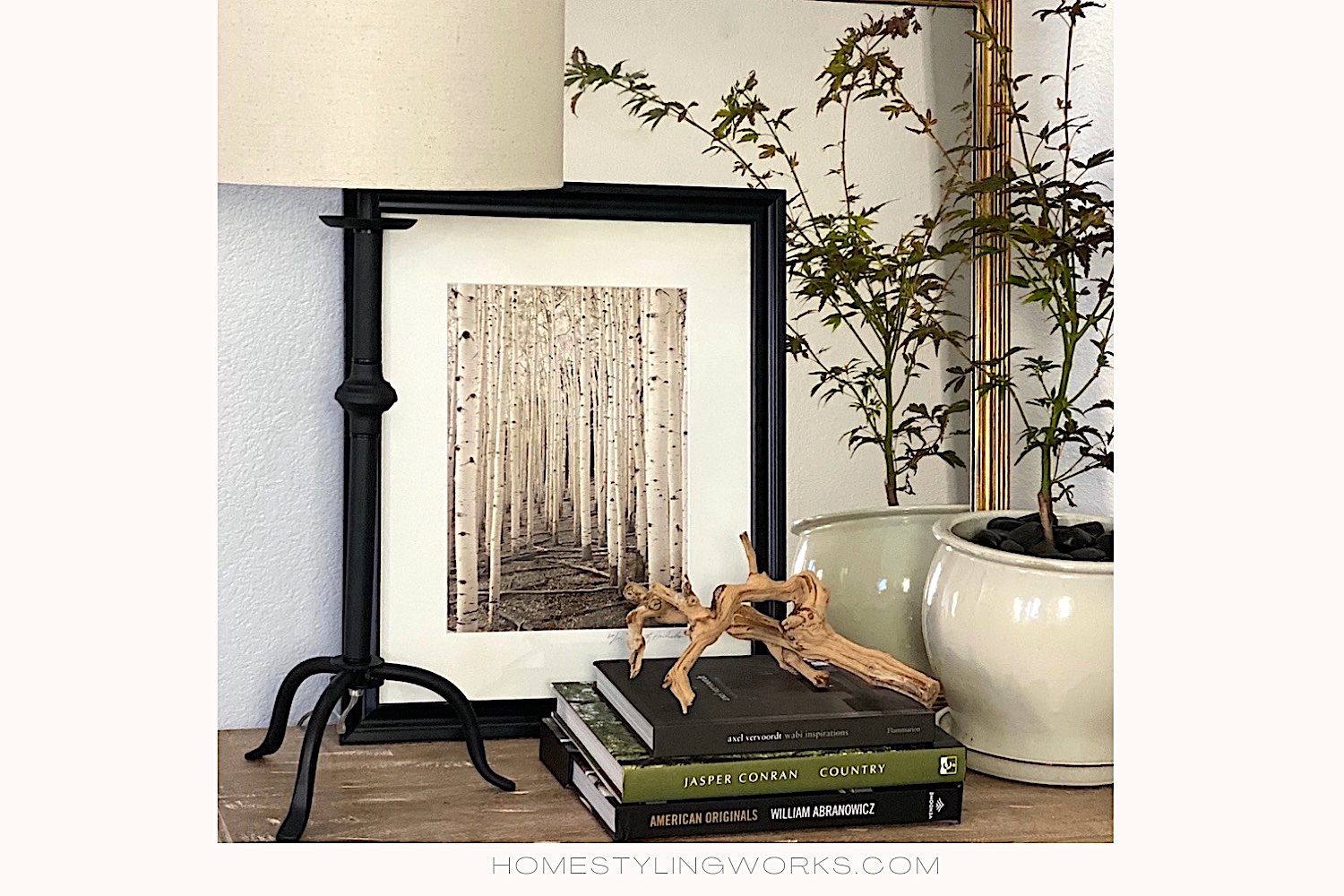 Farmhouse Vignette Lamp Books Plant